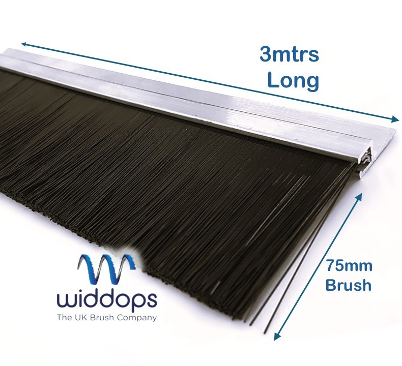 Brush Strip